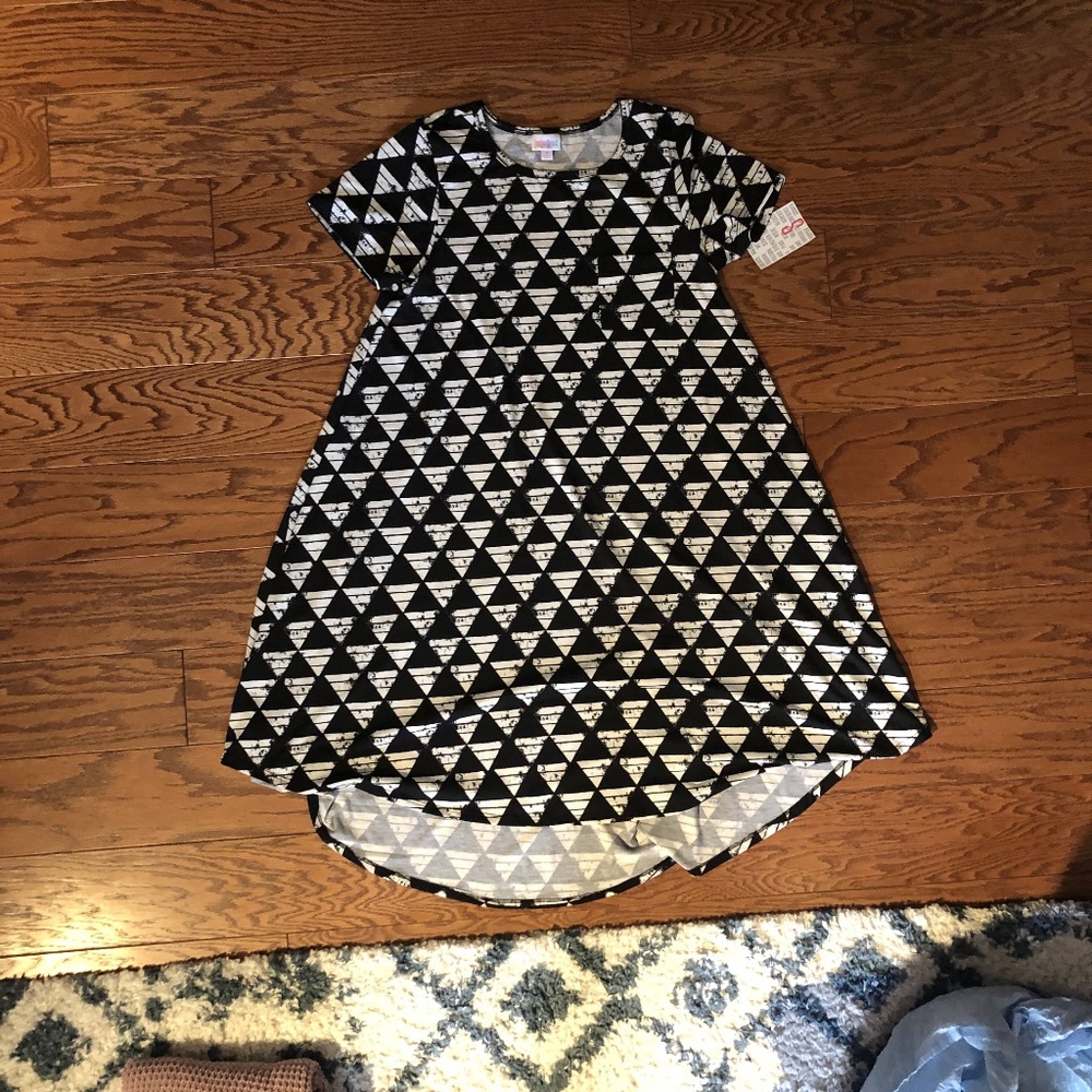 LuLaRoe Carly Swing Dress